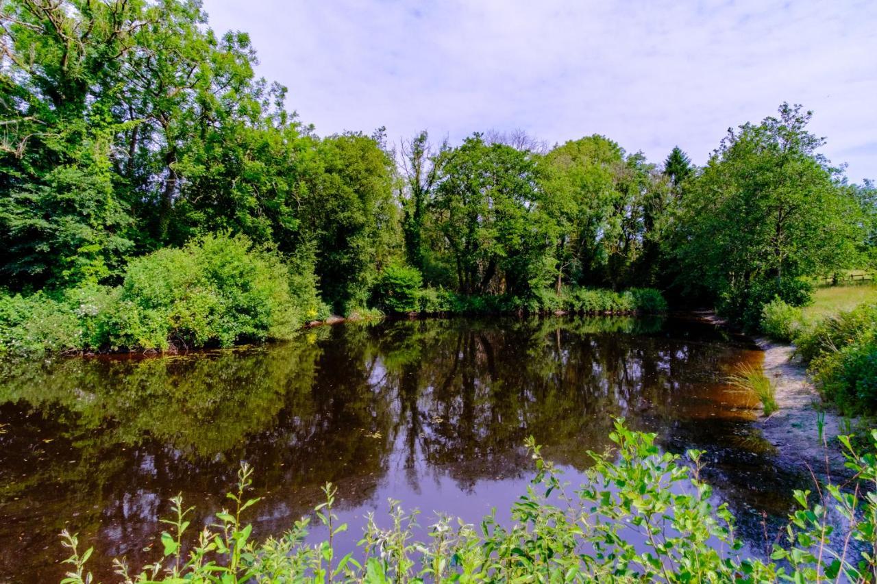 Lakeside Cottage Carmarthen Zewnętrze zdjęcie